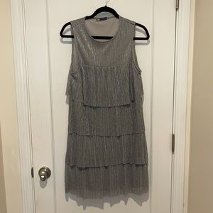 Brand new without tags Zara dress.